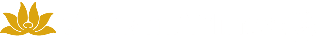 Logo Vietnam Airlines