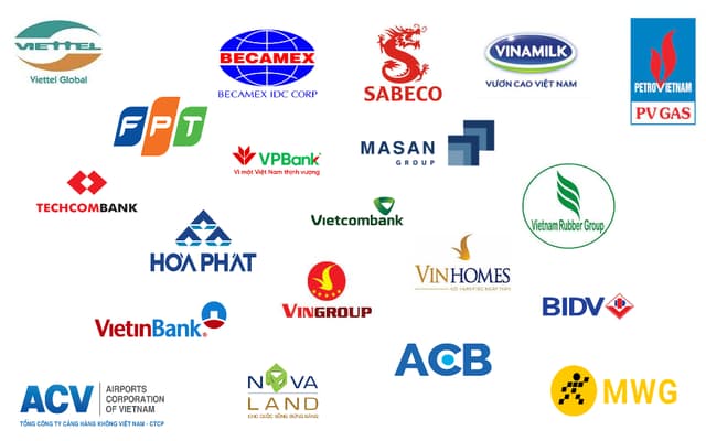 Một số doanh nghiệp đã sử dụng dịch vụ MICE của TripWise.vn
