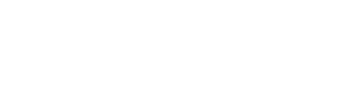 TripWise.vn